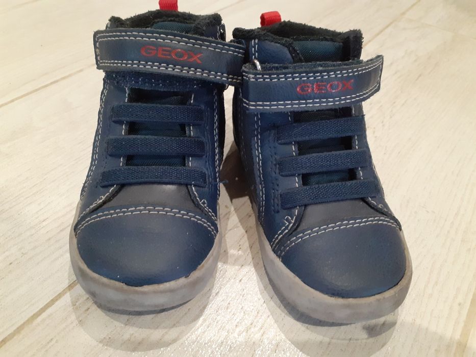 Димісезонні дитячі чоботи Geox  22