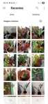 Plantas de interior e exterior