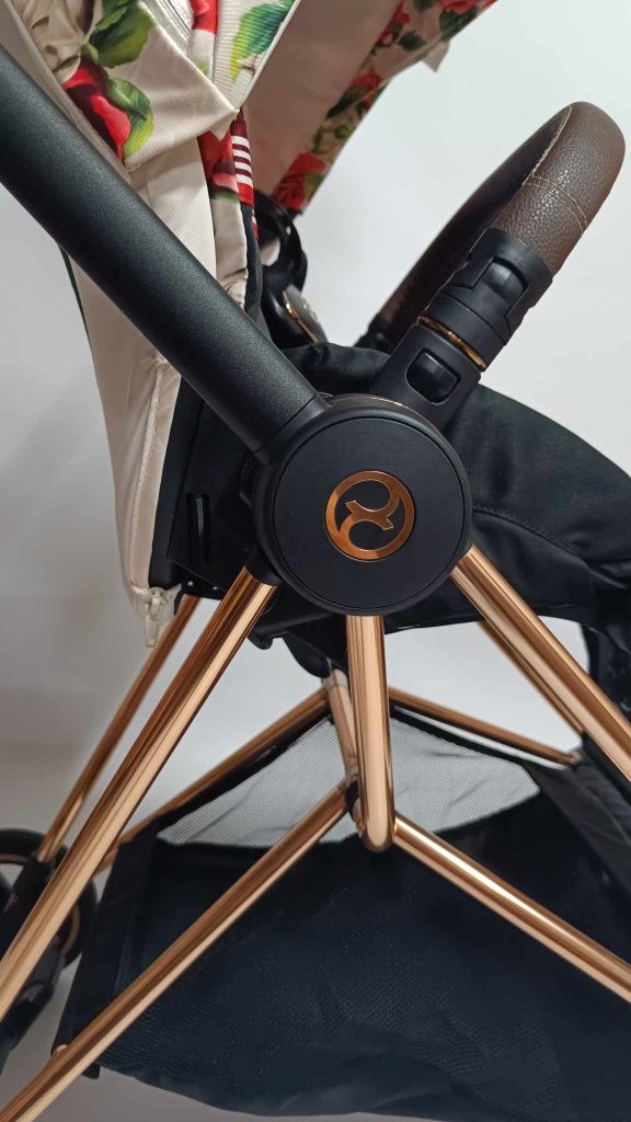 Cybex mios 3.0 Spring blossom light