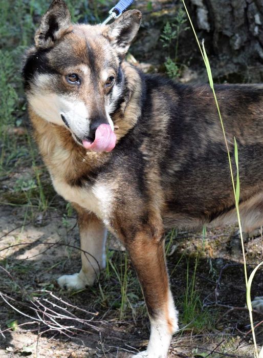 17 letni Pimpek - czy zdąży do domu ?