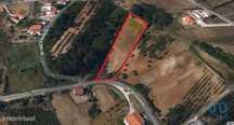 Terreno em Salir de Matos de 4623,00 m2