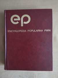 Encyklopedia Popularna PWN wydanie 22