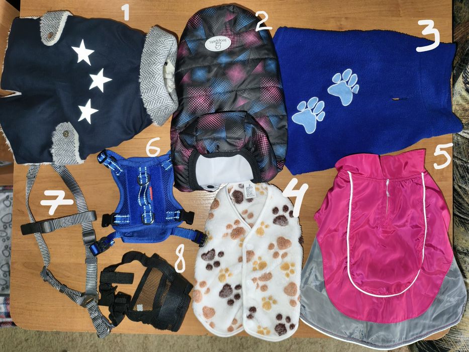 Жилет, пальто, намордник, шлея, попона, амуніція, одяг