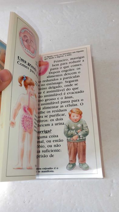 O Corpo Humano, uma maravilhosa Máquina