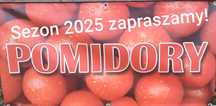 Pomidory z własnego gospodarstwa