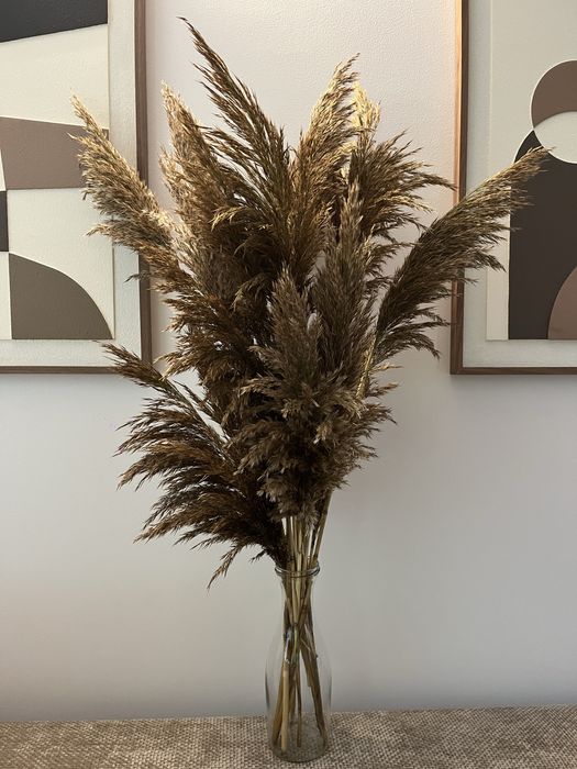 Trawy ozdobne naturalne bukiet do wazonu