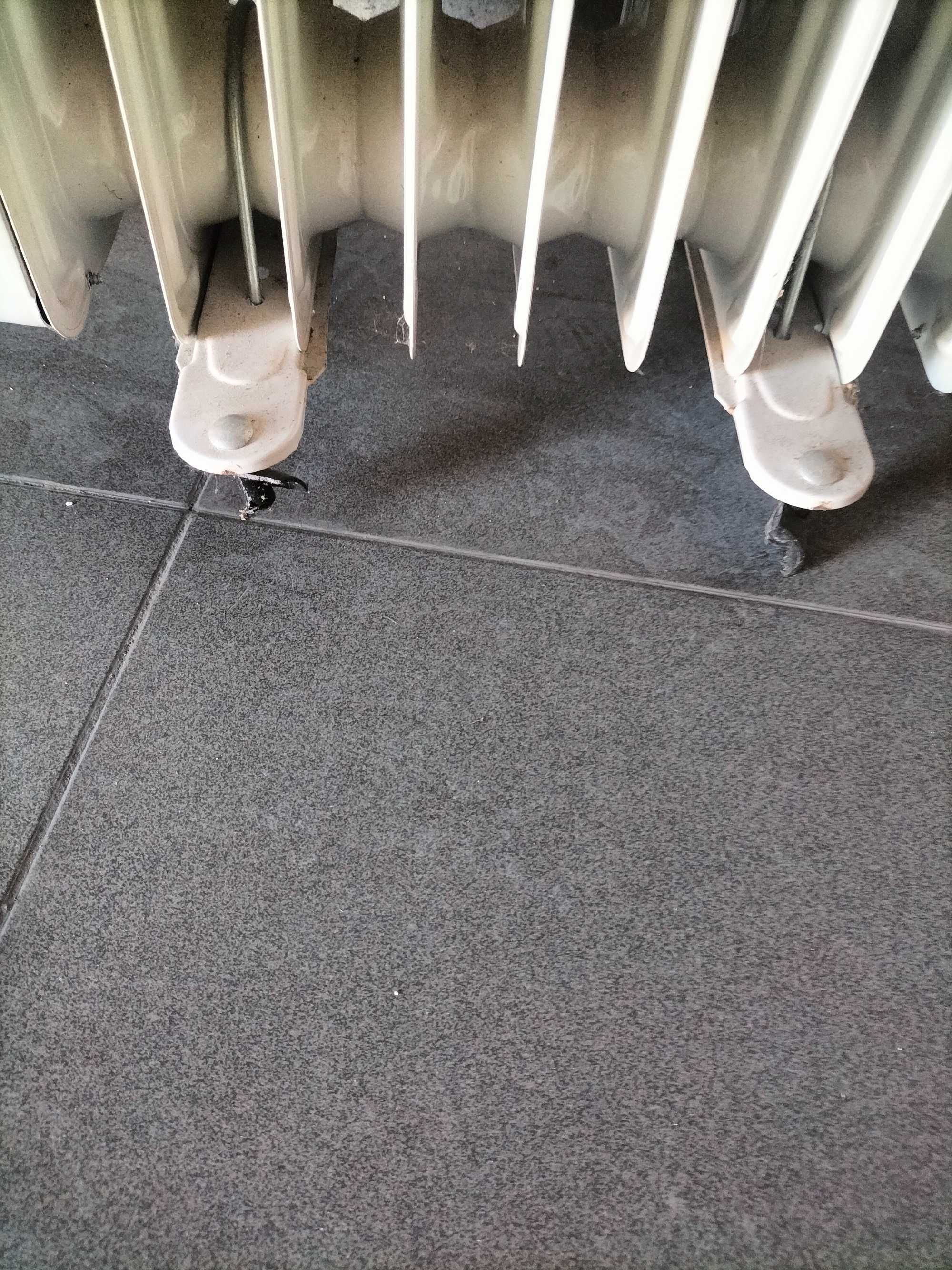 Aquecedor a óleo
