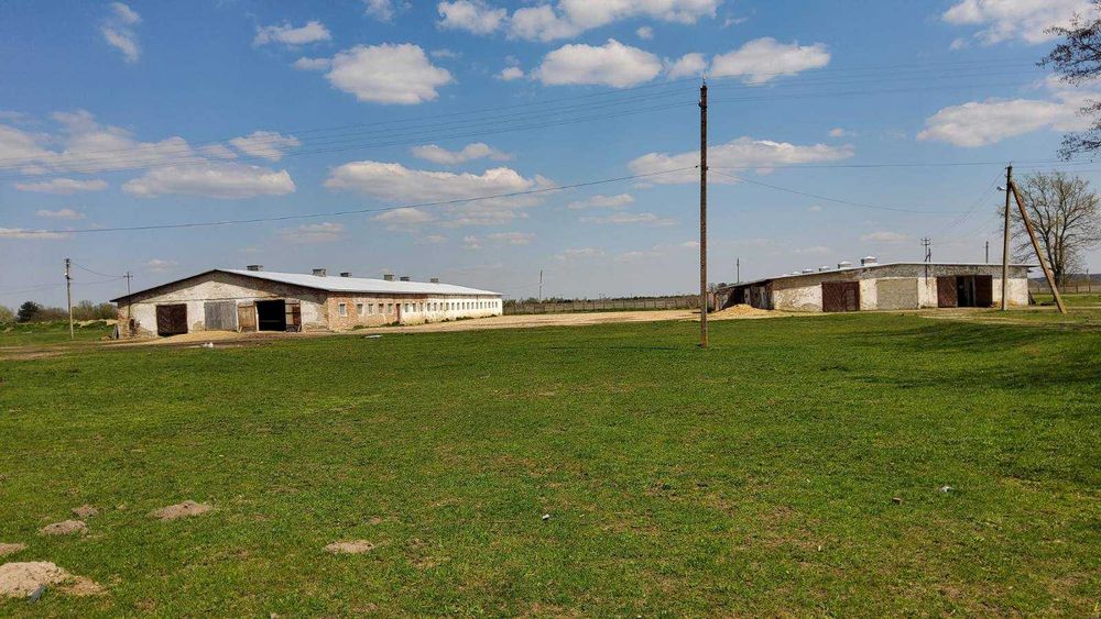 Продам кінну ферму