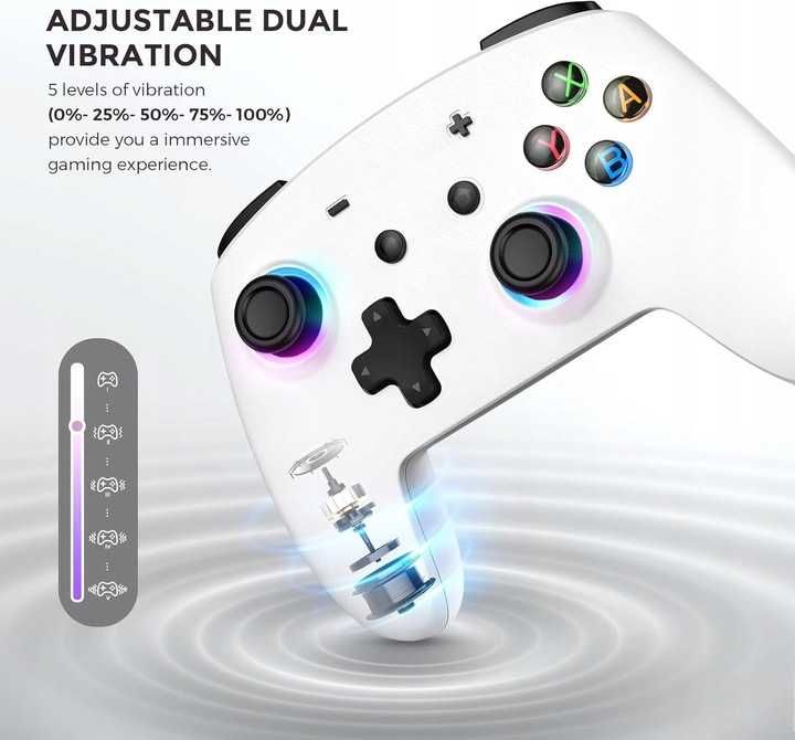 ECHTPower SP02 Bezprzewodowy kontroler pad do Nintendo Switch