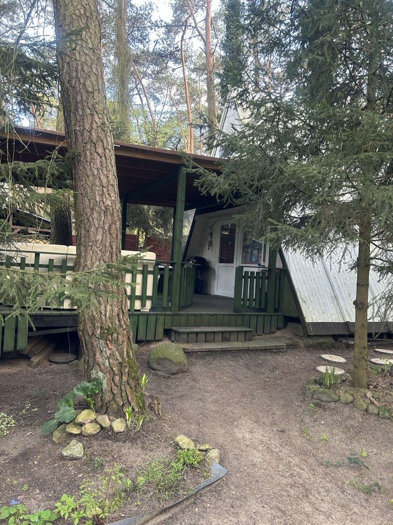 Domek letniskowy w lesie nad jeziorem budziszewskim