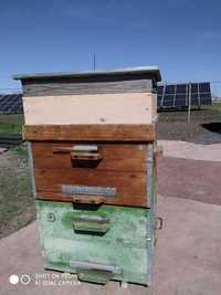 Вулики з корпусами (Приладдя для бджільництва)