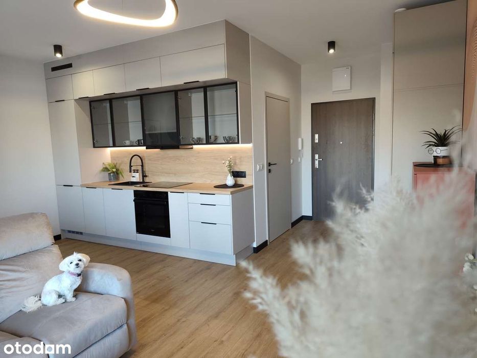 Piękne mieszkanie z widokiem Nad Odrą