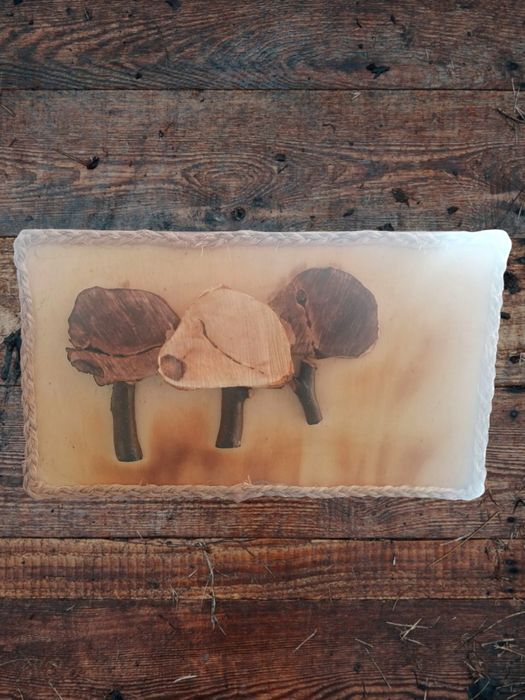 Quadros tema Árvores