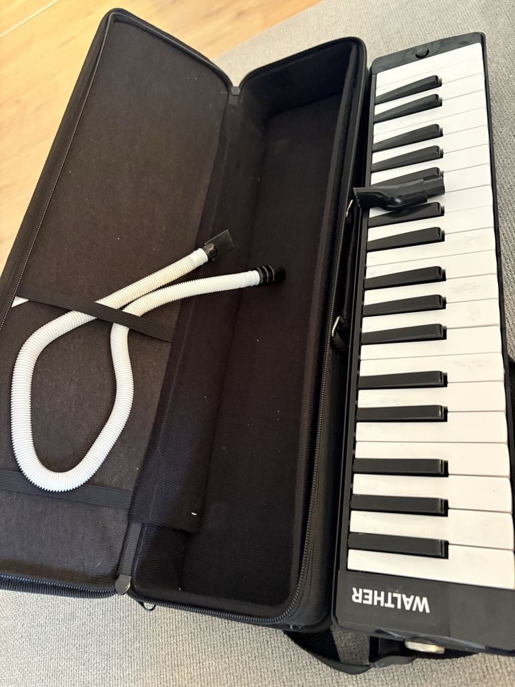 Melodica marca walther con estojo