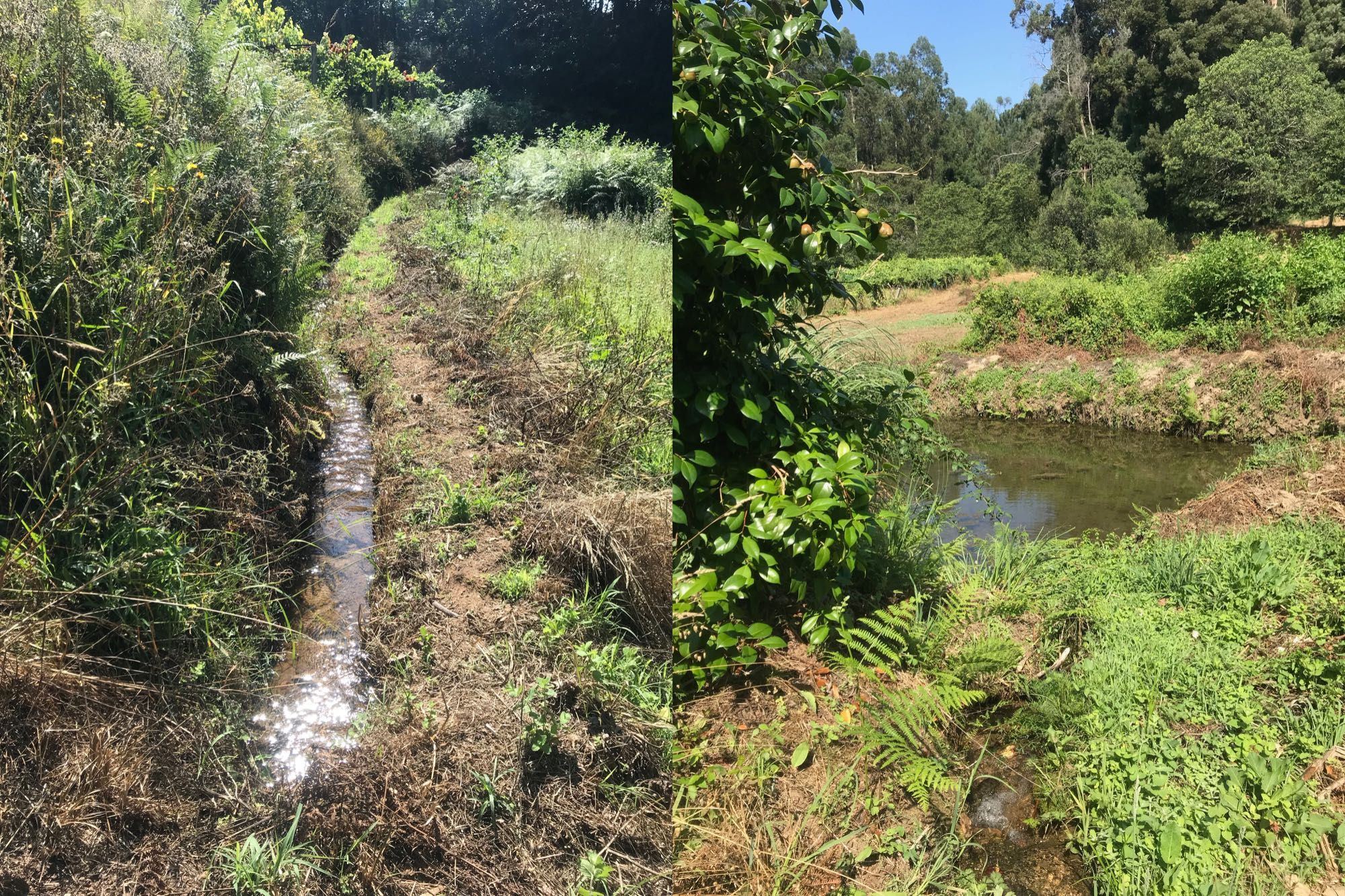 Quinta em Ponte de Lima