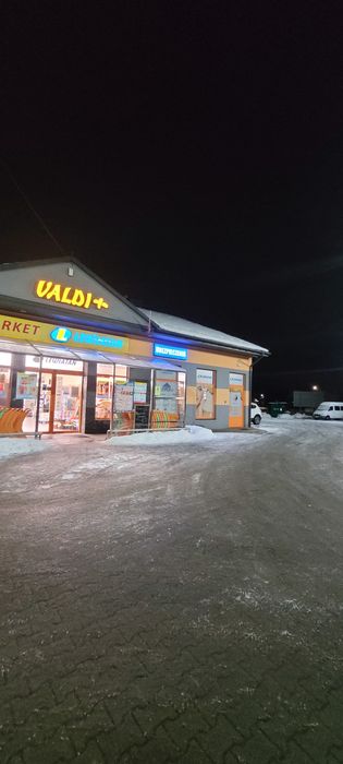 Wynajmę plac pod choinki   lewiatan krzyszkowice