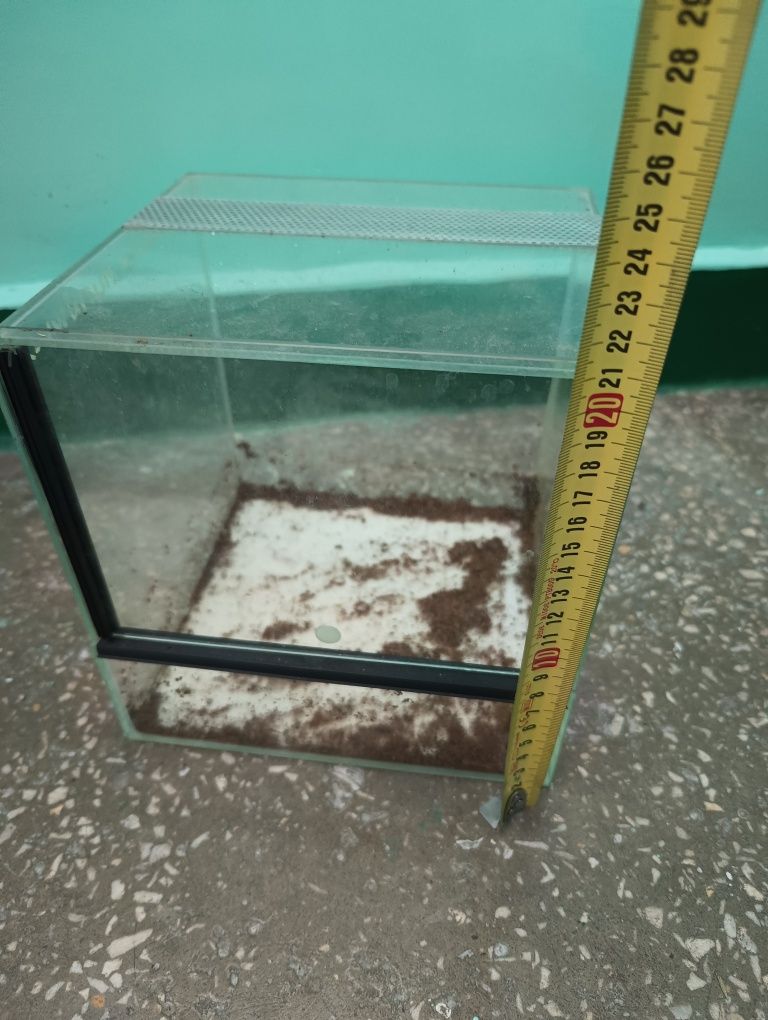 Używane terrarium 20x20x20