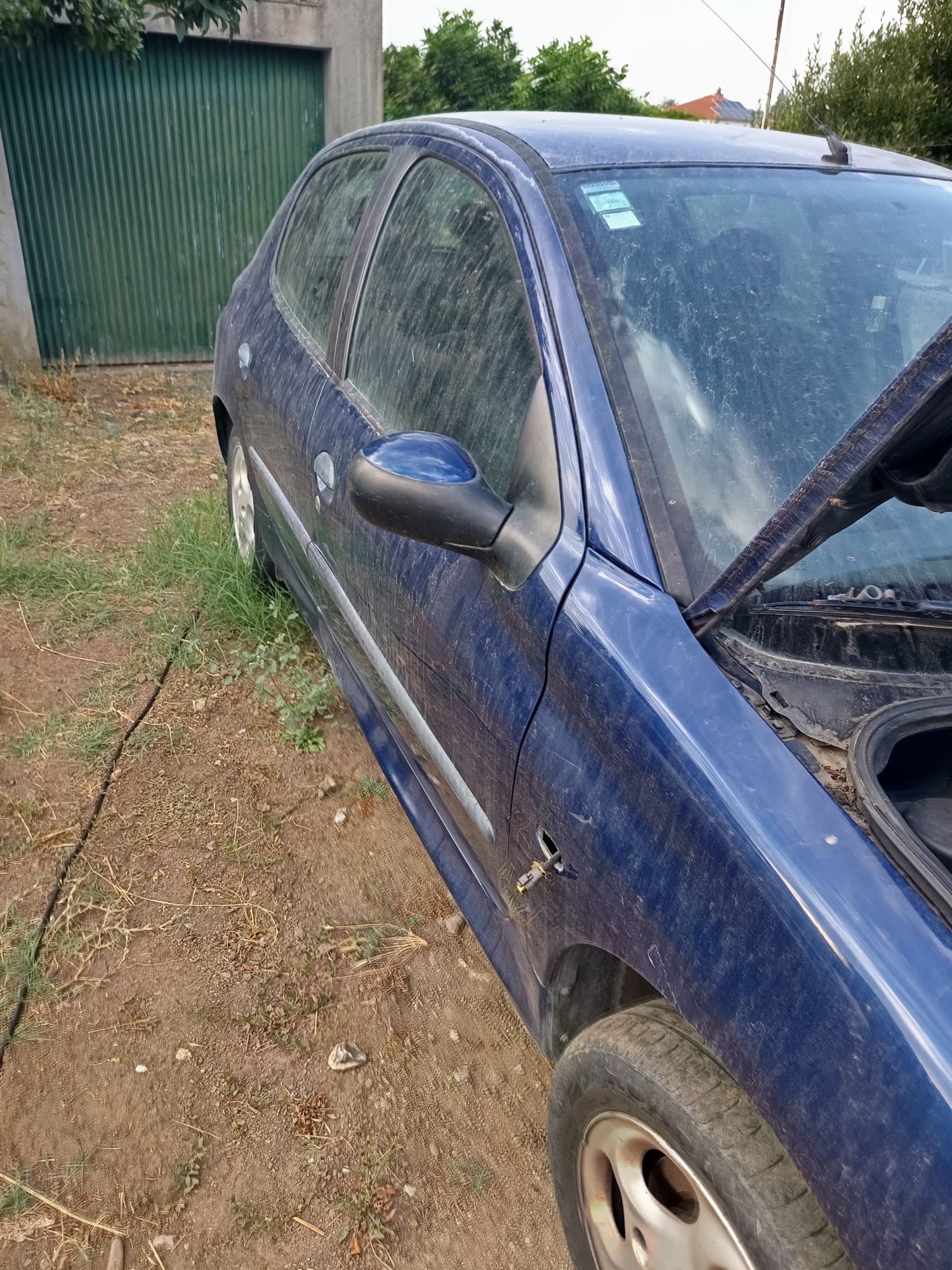 Peugeot 206 1.9 d