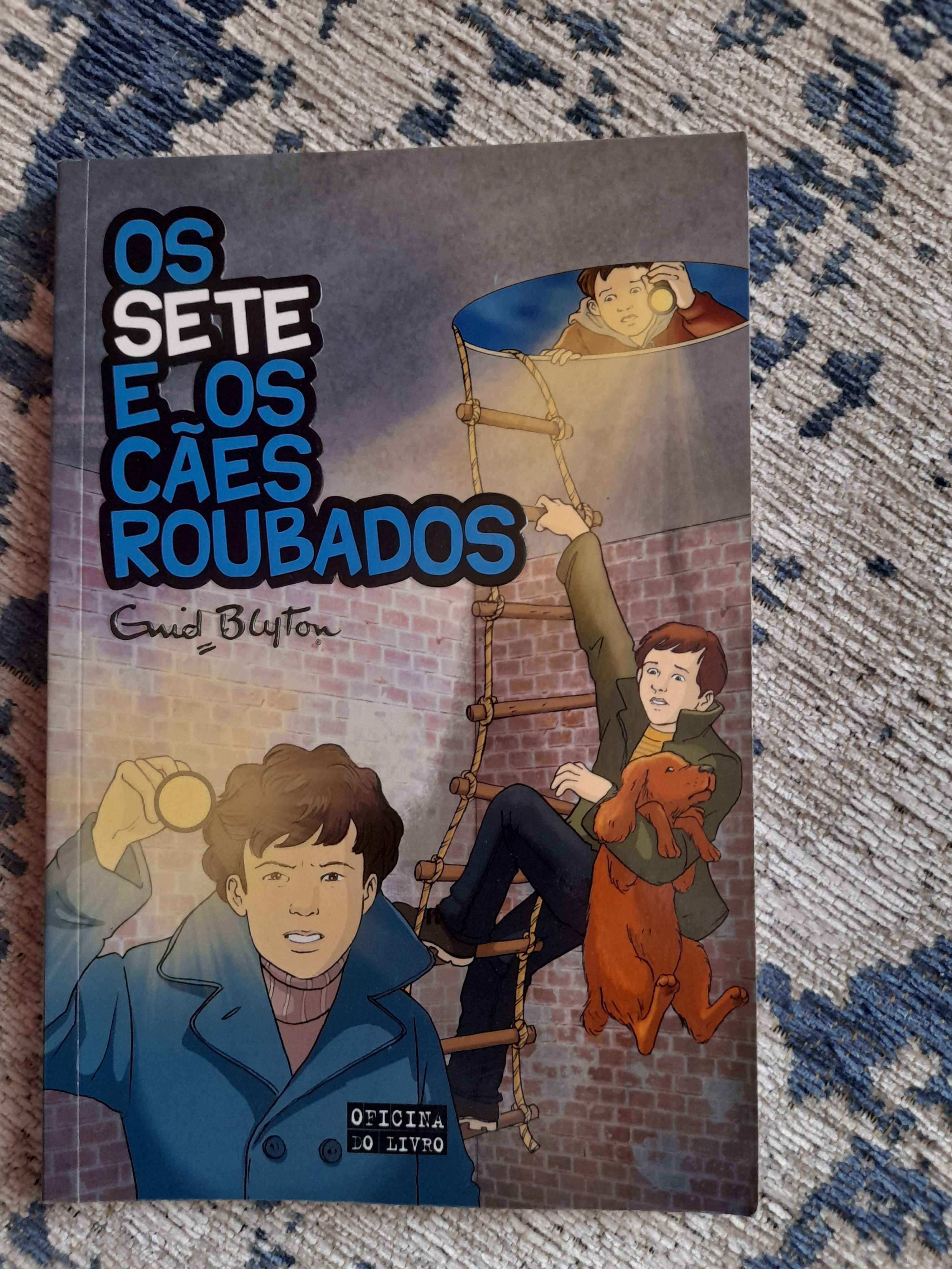 Os Sete e os Cães Roubados