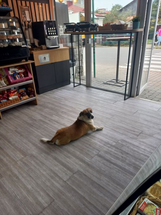 Оренда комерційного приміщення. ПРОДАЖ