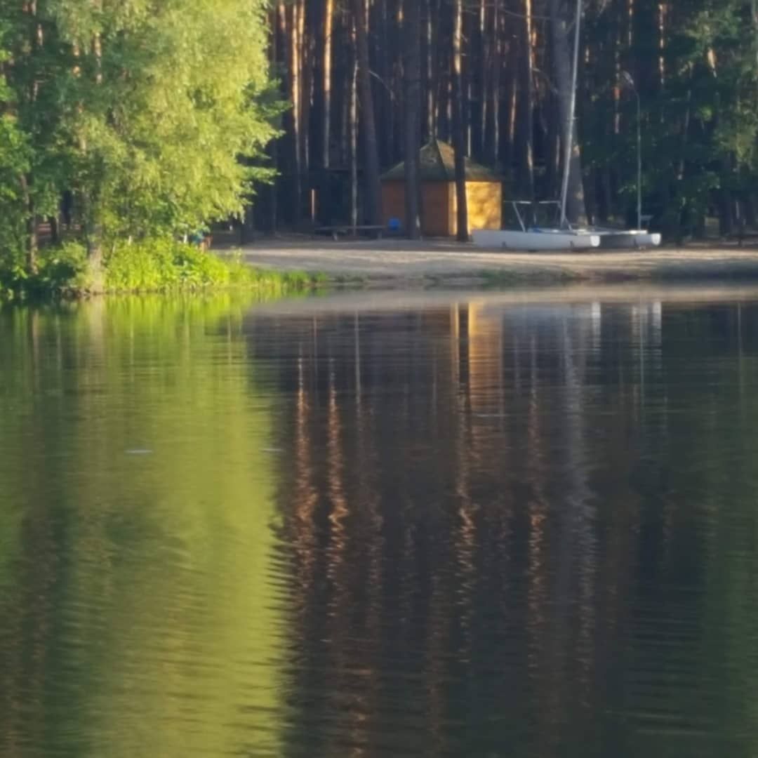 Сдам домики для отдыха.