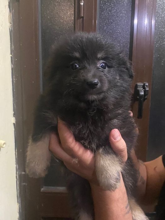 Para doar a pessoa responsável