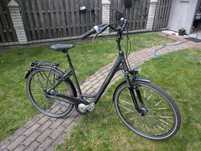 Rower miejski GREENS 28 cali