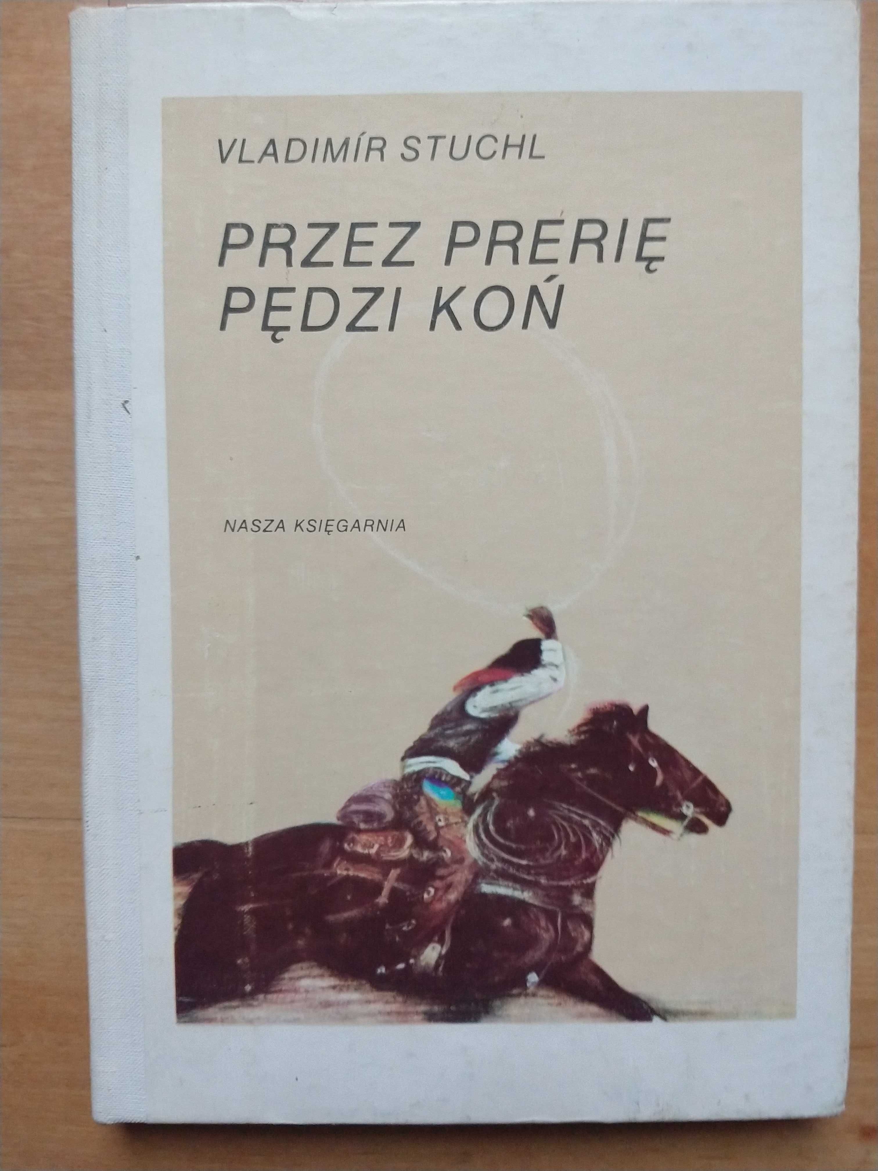 Przez prerię pędzi koń Vladimir Stuchl