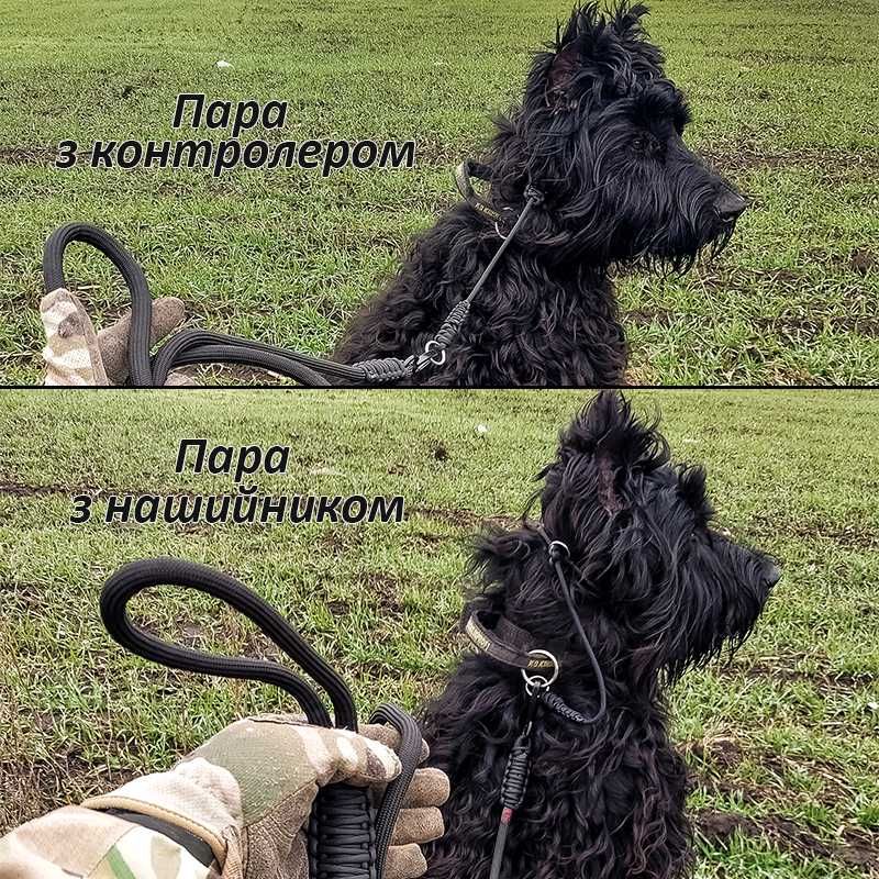 3в1! Повідок контролер для собак Ошейник удавка | Чорный Dogspotter