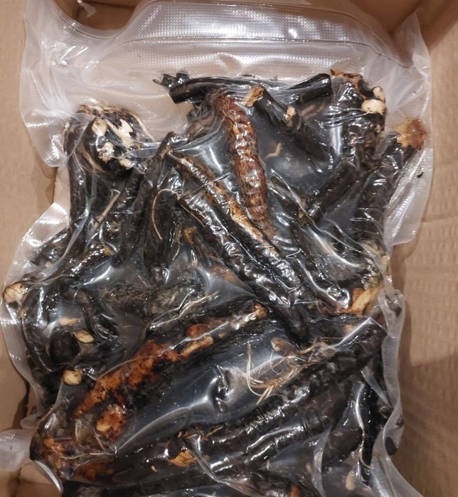 Żywokost lekarski ( Symphytum officinale ) korzeń swieży 1 kg