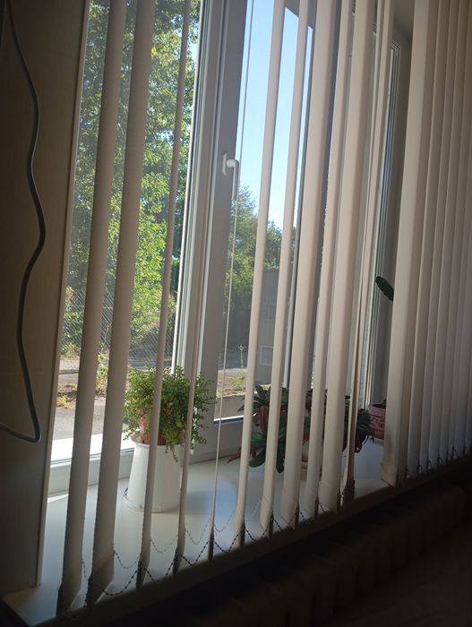 Візьму на квартиру жінку або студентку старших курсів