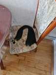 Волосы для наращивания черные 1в 75см