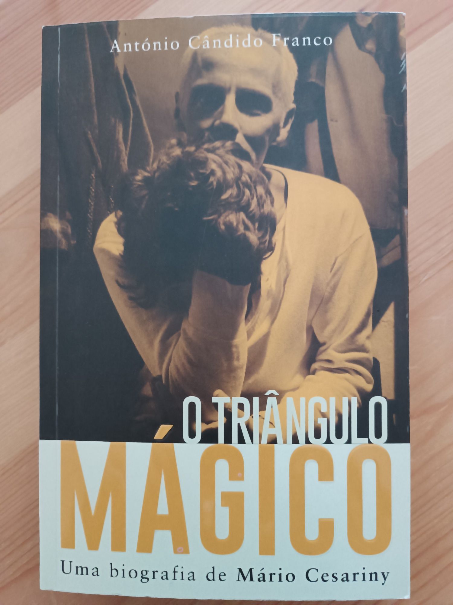 O Triângulo Mágico (Uma Biografia de Mário Cesariny)