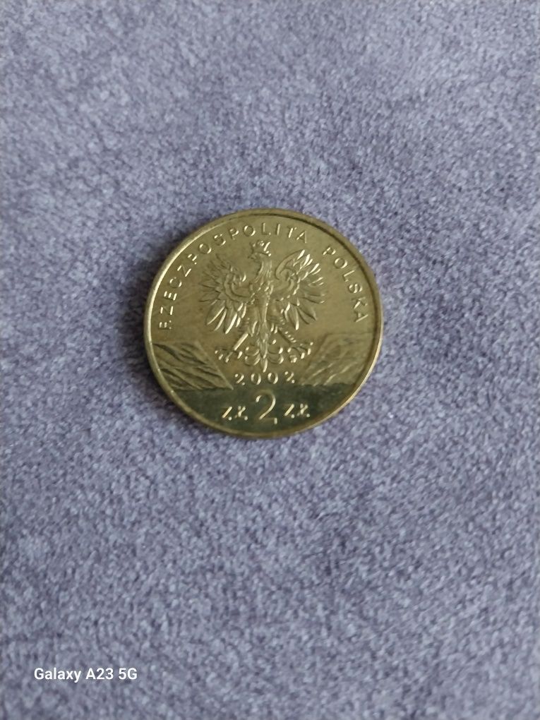 Moneta 2 zł z 2002 r