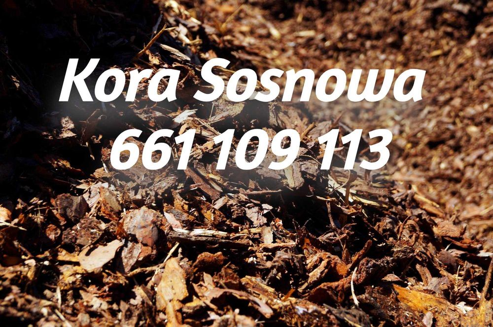 *Kora Sosnowa 80L* Ogrodowa Iława Ostróda Dowóz Gratis