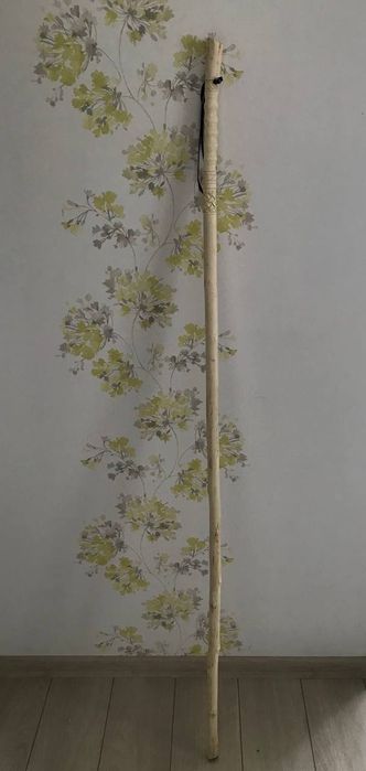 Палка для трекінгу