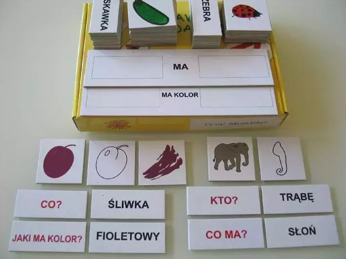 Zestaw dydaktyczny. Co ma? Jaki ma kolor?. Arson