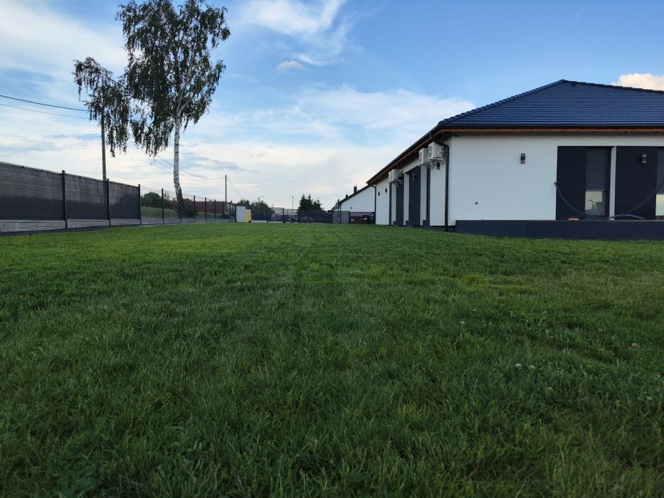 Ogrodnik - złota rączka, wertykulacja , zakładanie tarasów itd