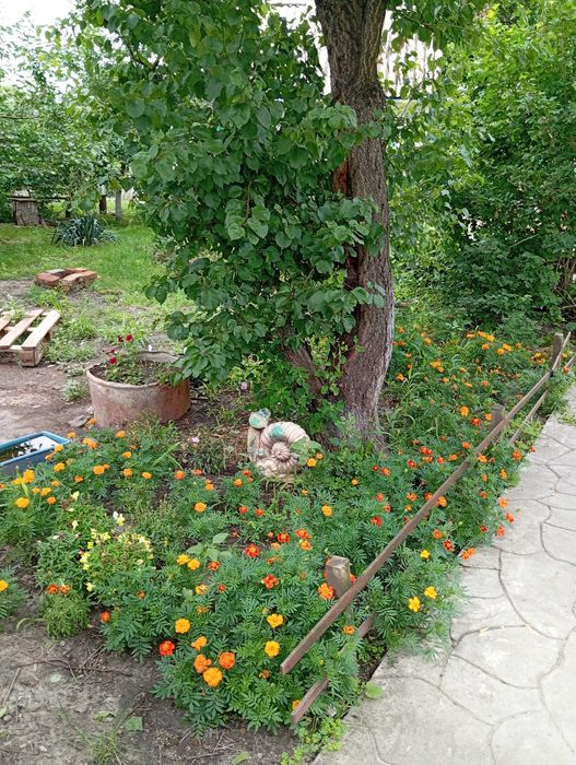 Будинок за і зручностями