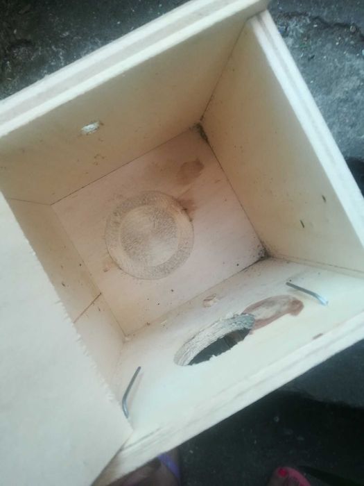 Ninho para periquitos