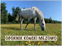 Obornik koński w workach 12 kg lub luzem