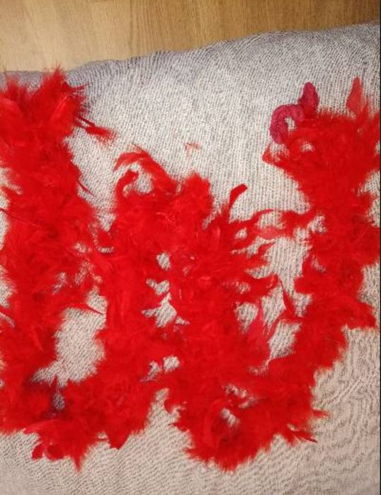 Боа і шляпи для декору або вечірки.