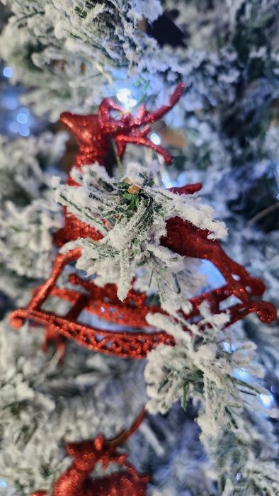 Árvore de Natal Novíssima ( Promoção)