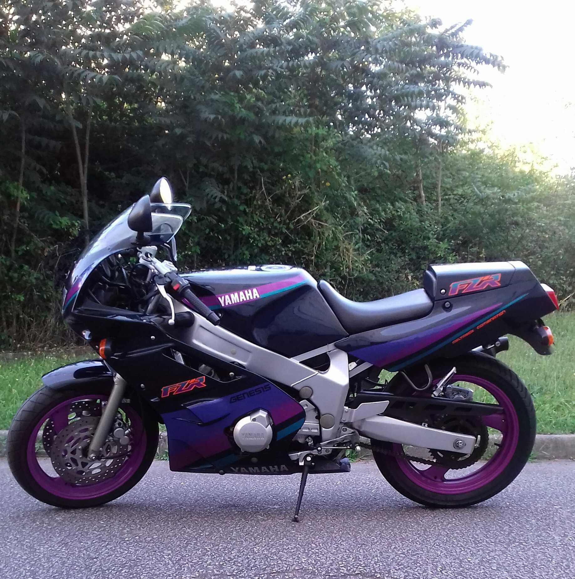 Mota Yamaha FZR 600