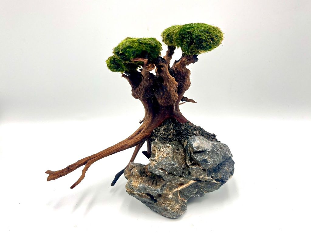 Piękna Aranżacja Kompozycja Do Akwarium Drzewko Bonsai