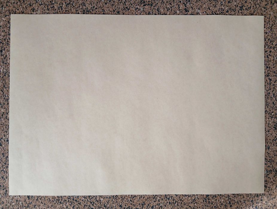 Poster - Nikola Tesla (papel kraft 42x30 cm)