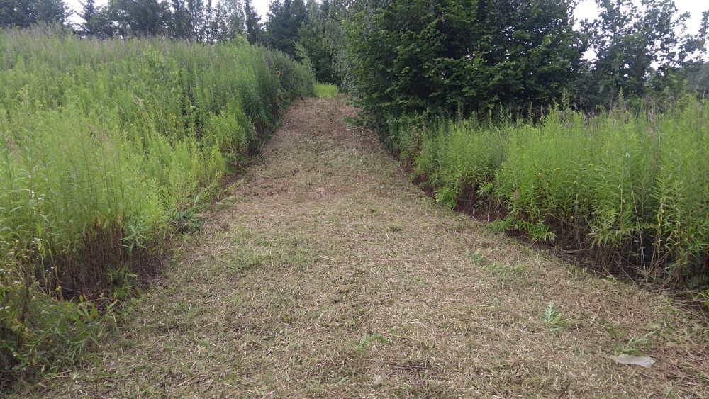 Koszenie nieużytków kosiarka bijakową, kosą spalinową, mulczerem