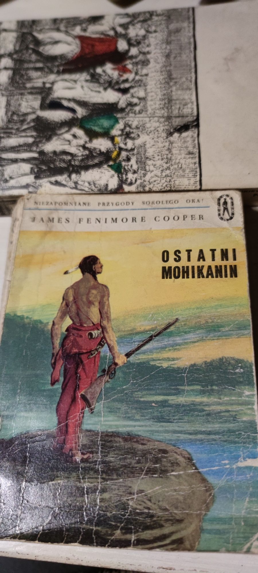 Ostatni Mohikanin J. Cooper