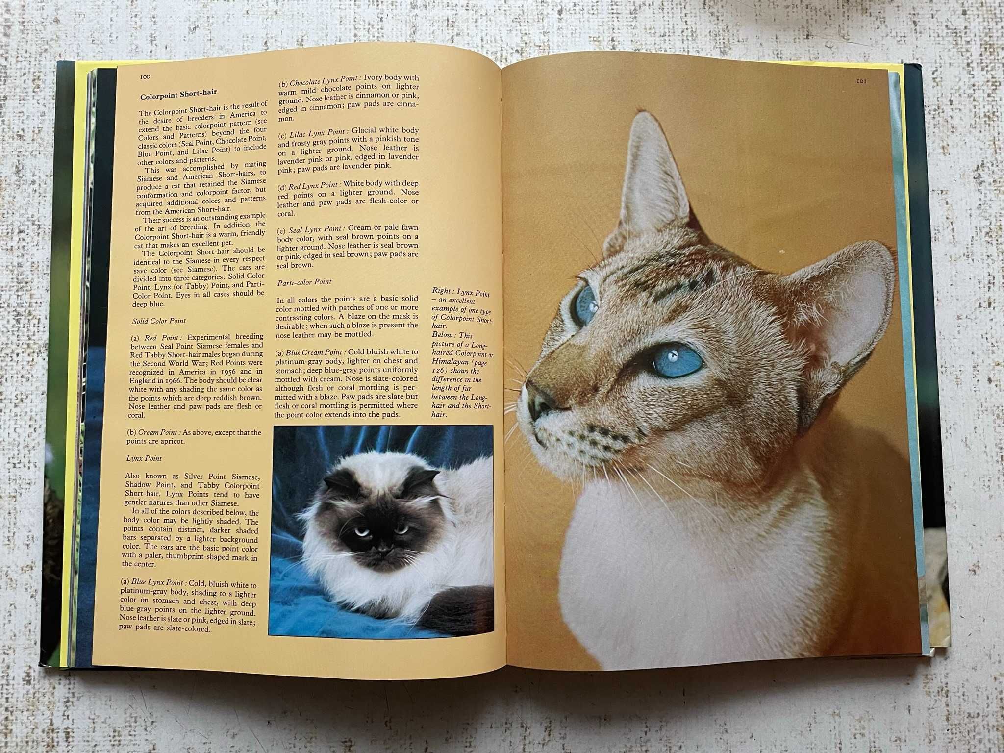 Album „The complete book of cats”