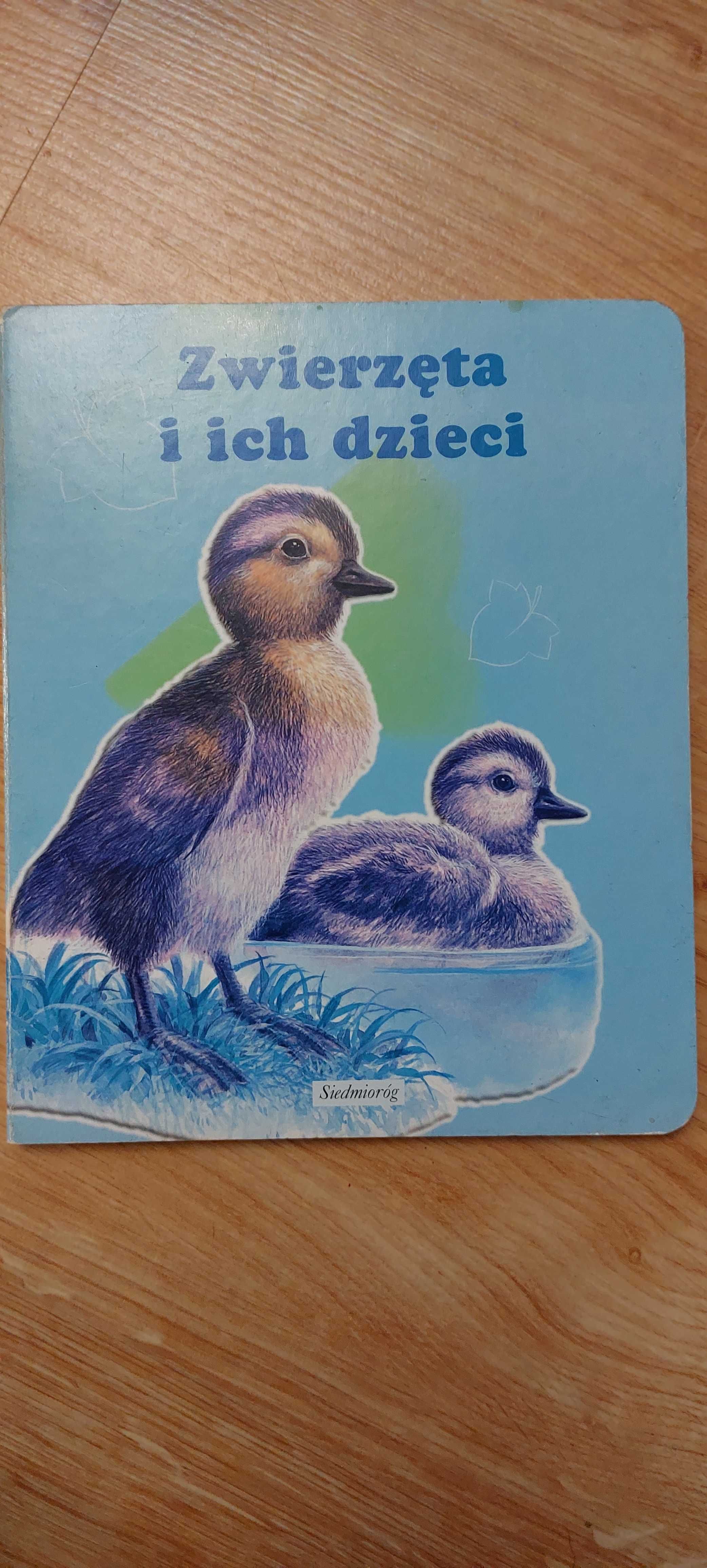 Zwierzęta i ich dzieci Książka